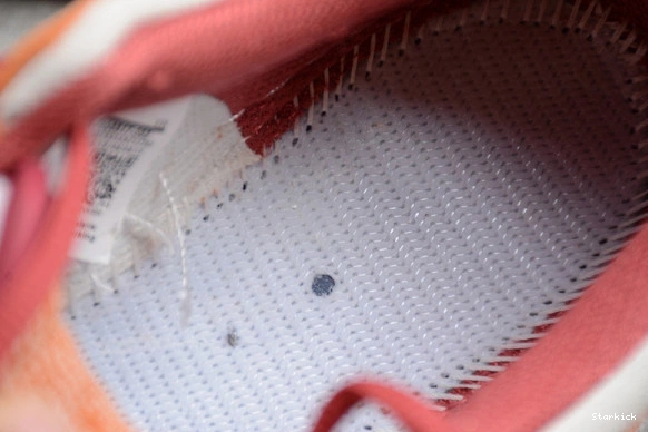 BQ6817-202 Russet Pro Cedar SB Nike Dark Dunk Low 1029